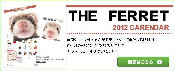 THE FERRET 2012CARENDAR