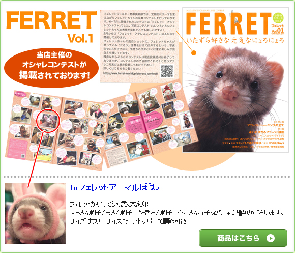 FERRET Vol.1