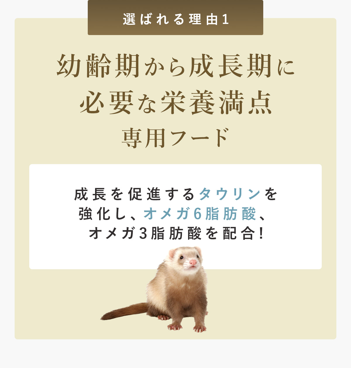 c琬ɕKvȉh{_pt[h