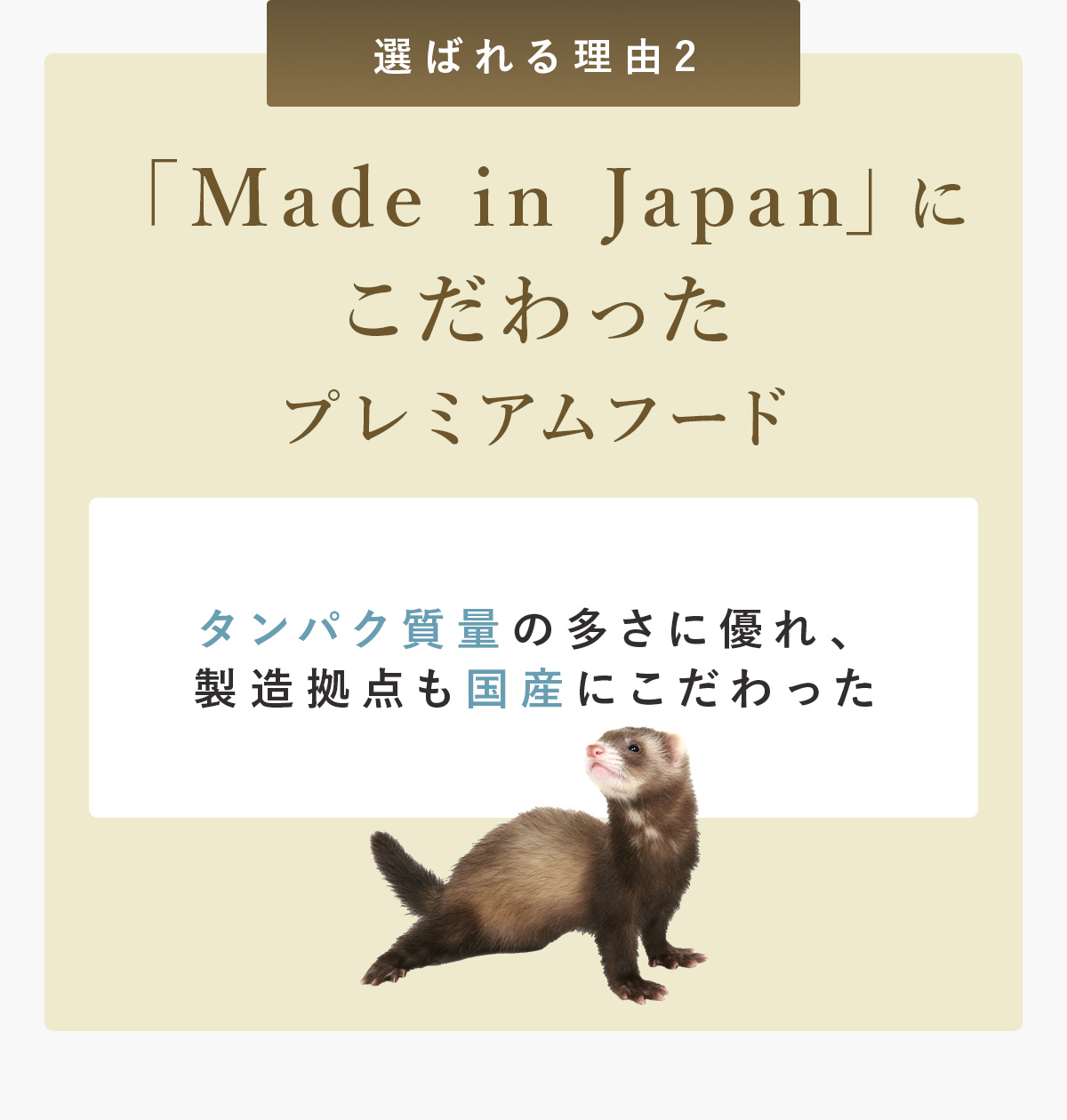 uMade in Japanvɂv~At[h