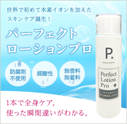 フェレット おもちゃ フェレットワールド Web Shop フェレット おもちゃ フェレットワールド Web Shop
