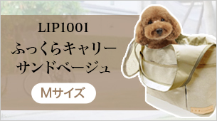 LIP1001դä饭꡼ ɥ١塡M