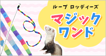 롼 롼 åǥ ޥå
