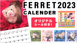 インターズー アニマルカレンダー フェレット 2023【オリジナルシール付き】