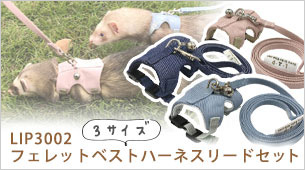 LIP3002 եåȥ٥ȥϡͥ꡼ɥå