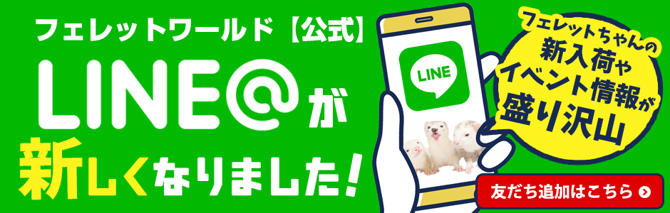LINEʤޤ