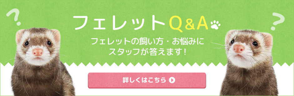 QA