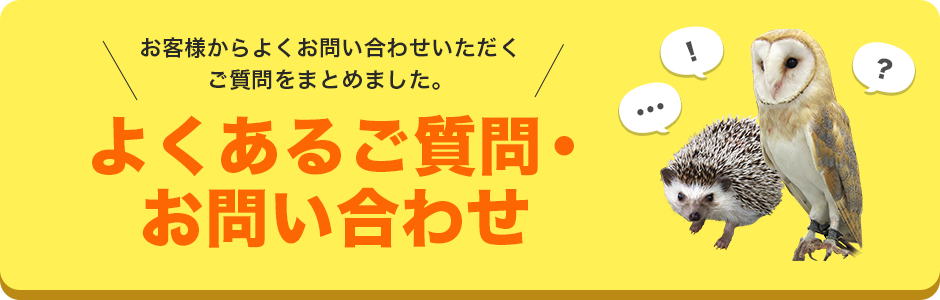 褯뤴䡦礻