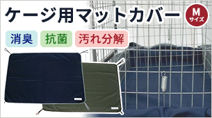 LIP3001ѥޥåȥС ͥڸޡۡڱʬ