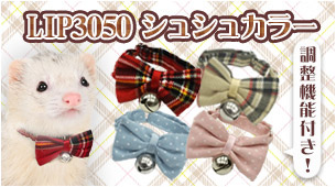 LIP3050եåȥ奷奫顼