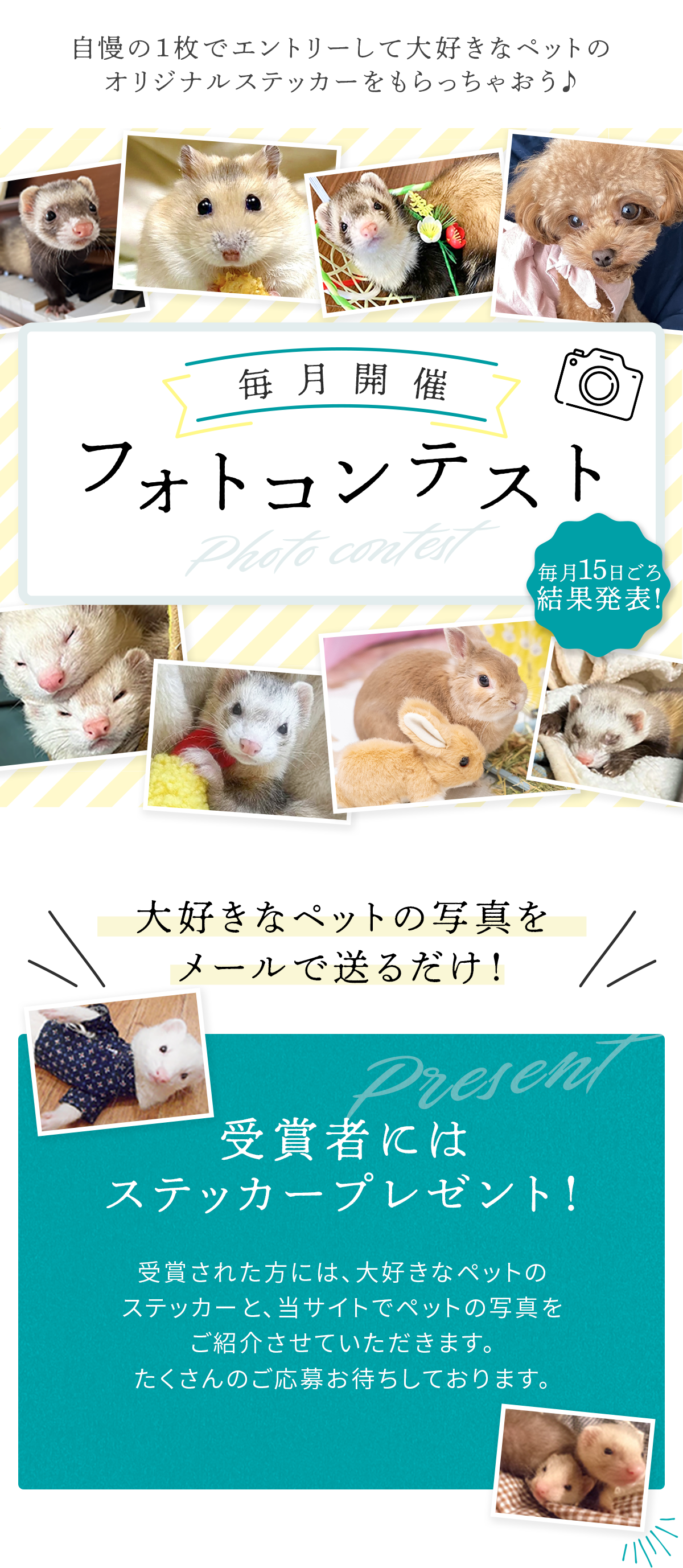 ťեȥƥ