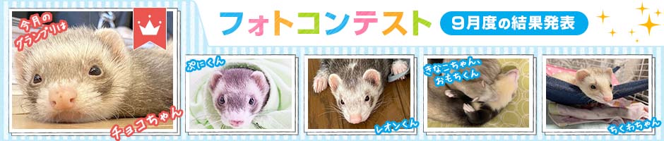 放射能未検出】みんなの水500ml 1ケース ヘルスチャージシリーズ（500ml24本入り）【ペットの飲料水】 フェレットカテゴリー フェレットワールド  WEB SHOP