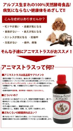 スイス日本ビーエフ　アニマストラス　顆粒　400g　犬　猫　小鳥　小動物