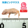 【冷凍】 冷凍ピンクマウス Lサイズ（約4g）10匹パック【クール便