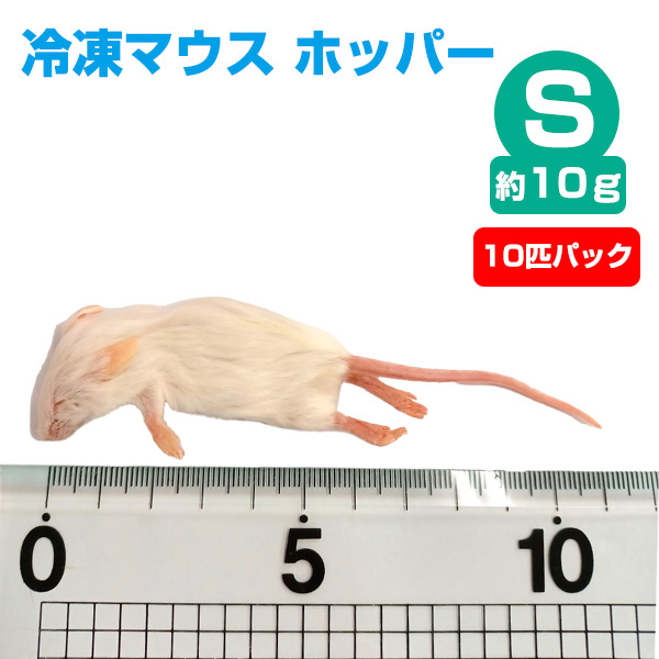 国産冷凍マウス　ホッパー　50匹