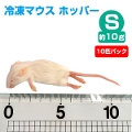 【冷凍】 冷凍マウス ホッパー Sサイズ（約10g）10匹パック【クール便発送】【常温商品との同梱不可】（NK）