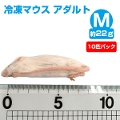 【冷凍】 冷凍マウス アダルトMサイズ（約22g）10匹パック【クール便発送】【常温商品との同梱不可】（NK）