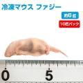 【冷凍】 冷凍マウス ファジー（約6g）10匹パック【クール便発送】【常温商品との同梱不可】（NK）