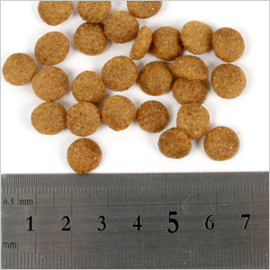 ニチドウ フェレット シニアダイエットフード 3.0kg フェレット