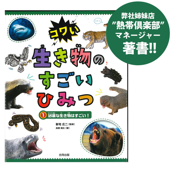 コウモリくらやみをいく: めずらしい小動物の生活 (生きものばんざい 7) コウモリくらやみをいく: めずらしい小動物の生活 (生きもの