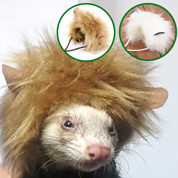 FERRET ライオン帽子（ライオンキャップ）【メール便可