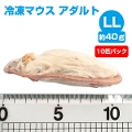 【冷凍】【上質】 冷凍マウス アダルトLLサイズ10匹パック【クール便発送】【常温商品との同梱不可】