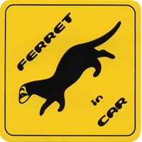 FERRET@in CarXebJ[tFbg XebJ[ V[