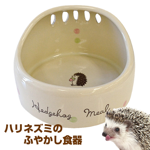 お取り寄せ】マルカン CASA ハリネズミのふやかし食器 （NK） 熱帯倶楽部 フェレットワールド WEB SHOP