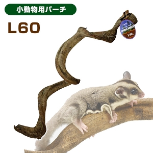 三晃商会 スパイラルパーチ L60（T1）（NK）【お取り寄せ】 熱帯