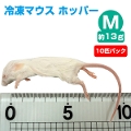 【冷凍】冷凍マウス ホッパー Mサイズ（約13g）10匹パック【クール便発送】【常温商品との同梱不可】（NK）