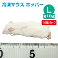 【冷凍】冷凍マウス ホッパー Lサイズ（約18g）10匹パック【クール便発送】【常温商品との同梱不可】（NK）