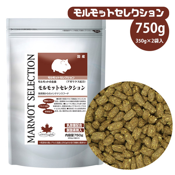 イースター モルモットセレクション 750g（250g×3袋） （NK ...