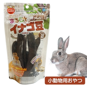 デグー チンチラ ハムスター おやつなど お取り寄せ】マルカン