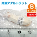【冷凍】冷凍アダルトラット Sサイズ（約100g）10匹パック【クール便発送】【常温商品との同梱不可】（NK）