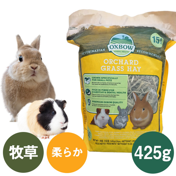 OXBOW オーチャードグラスヘイ425g（T2）（NKK）【お取り寄せ
