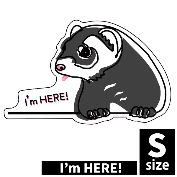 オリジナルフェレットステッカー I'm HERE! Sサイズ（s-065-s