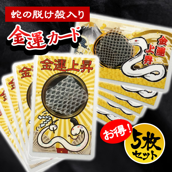 お得な5枚セット】金運カード（蛇の抜け殻入り）5枚セット【メール便可