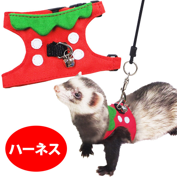 RB】フェレッ子ハーネス いちご（F2）【ウェア】【洋服】【ハーネス
