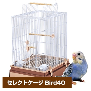 }J@CASA@ZNgP[W Bird 40iT1j iNKjy񂹁z