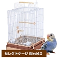 }J@CASA@ZNgP[W Bird 40iT1j iNKjy񂹁z