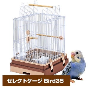 }J@CASA@ZNgP[W Bird 35 iT1j iNKjy񂹁z