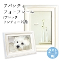 hi AoeBtHgt[it`AeB[NjcEEǊ|^Cv DF44-P-WH