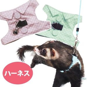 yRBztFbqn[lX ʁiF2jyEFAzymzyn[lXz@