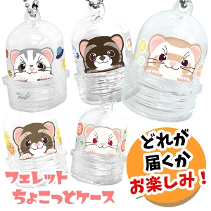 �ӂ���K�`�� �t�F���b�g���傱���ƃP�[�X