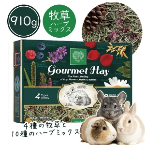 �X���[���y�b�g�Z���N�g�@�O�����w�C�iF4�j�iNK�j