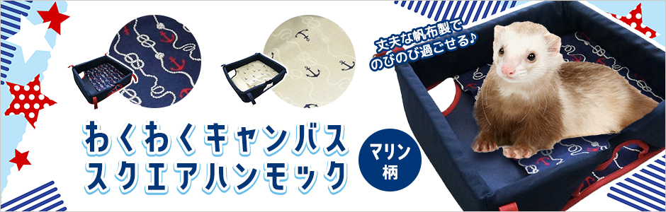フェレット専門店・フェレットワールド フェレット専門店・フェレットワールド