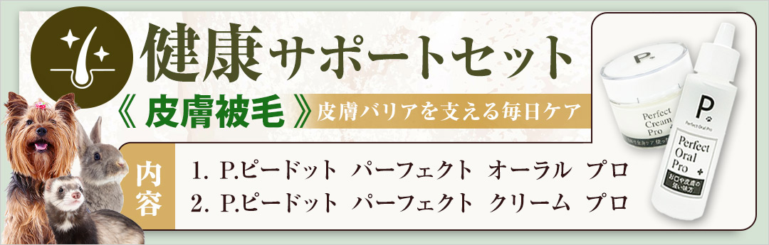 �򹯥��ݡ��ȥ��å� ���桦����